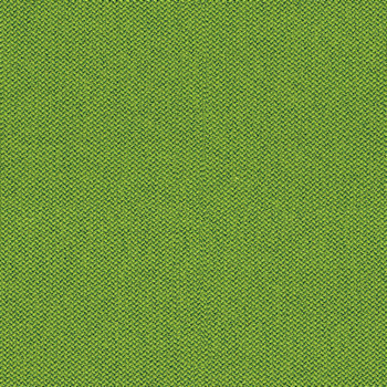 camira-era-cse16.jpg